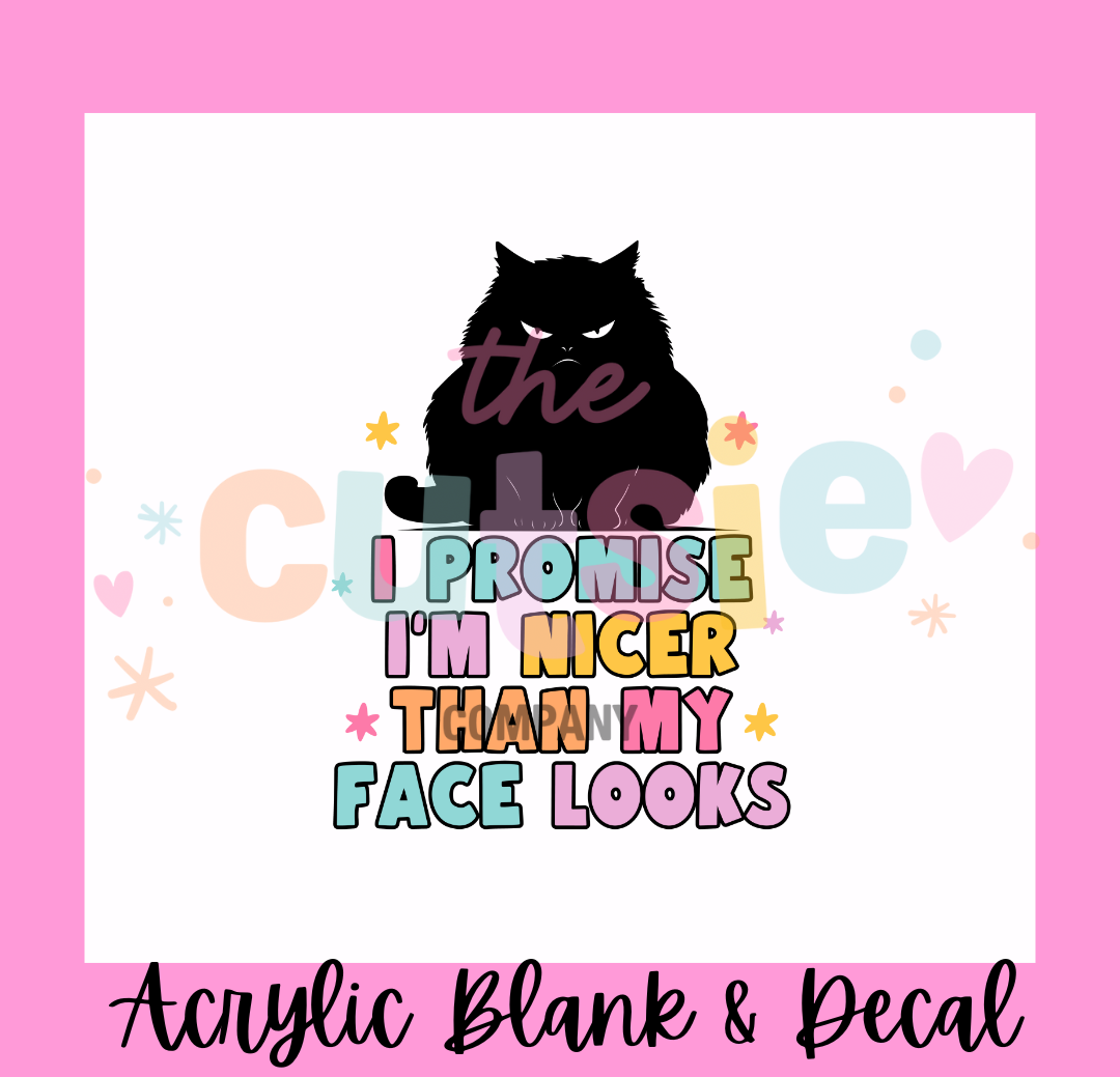 Im Nicer Than My Face Looks Acrylic Blank